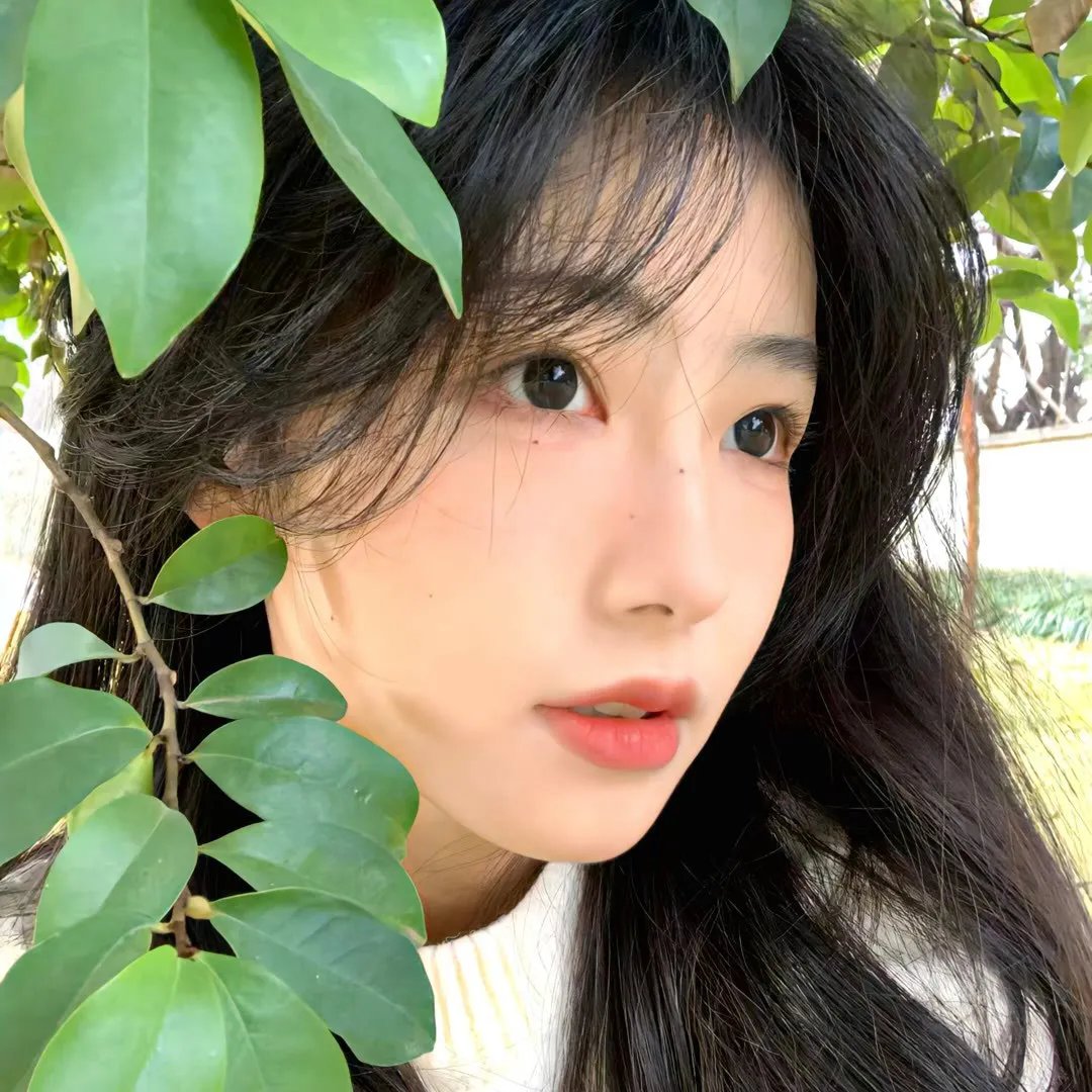恋恋歌中曲